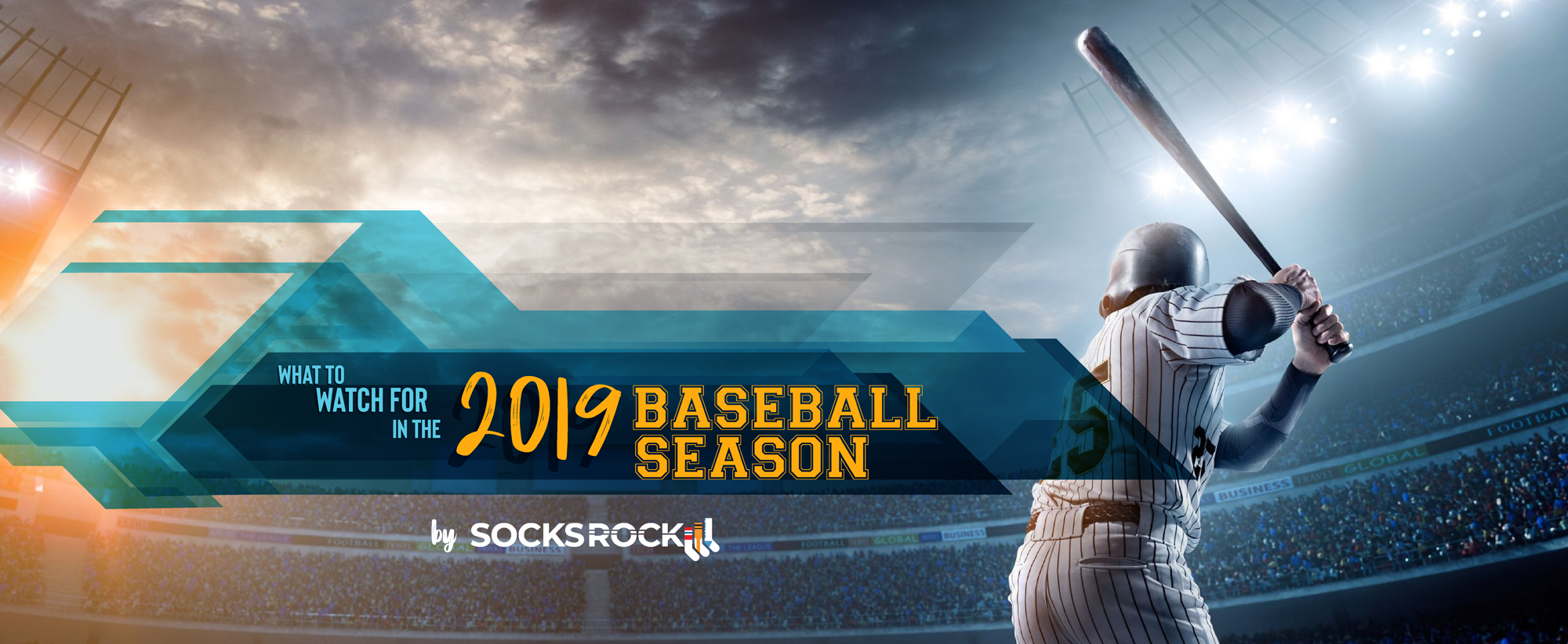 What to Watch for in the 2019 Baseball Season