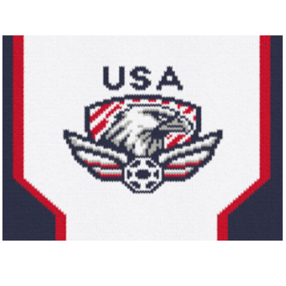 Flag with 'USA' and eagle logo on a white background